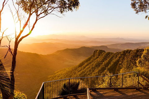 O'Reilly's & Lamington National Park Incl. Alpaca Farm + Vineyard - Darwin Holiday 0