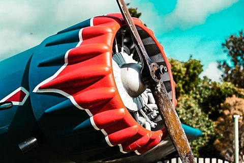 O'Reilly's & Lamington National Park Incl. Alpaca Farm + Vineyard - Darwin Holiday 1