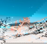 4 Day  3 Night Whitsunday Islands  Outer Reef Sailing Adventure on Condor