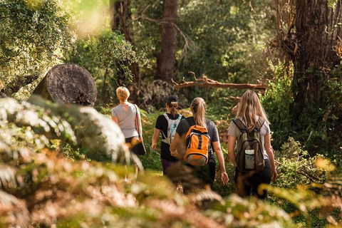 Cabaret Cave Yoga & Mindful Hike - Darwin Holiday 2