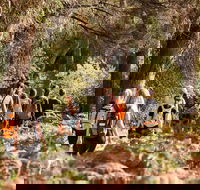 Half-Day Yanchep Ghost House Wilderness Guided Hike Tour - Darwin Holiday