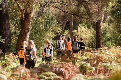 Half-Day Yanchep Ghost House Wilderness Guided Hike Tour - Darwin Holiday 0