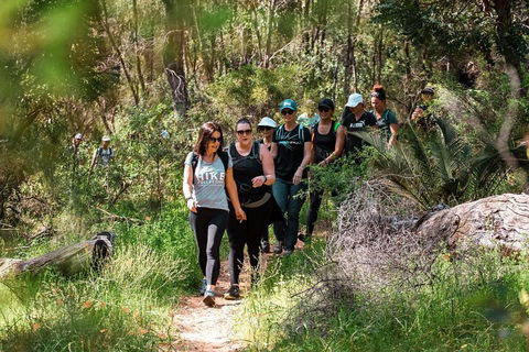 Half-Day Yanchep Ghost House Wilderness Guided Hike Tour - Darwin Holiday 3