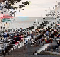 Phillip Island and French Island Wildlife Expedition - Darwin Holiday