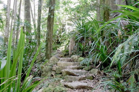 Byron Bay Combo: Hinterland Tour Including Minyon Falls And Kayaking With Dolphins - Darwin Holiday 5