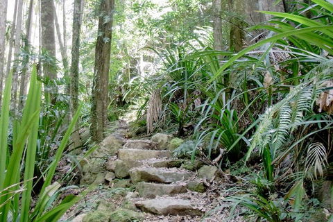 Byron Bay Combo: Minyon Falls And Hinterland Day Trip And Learn To Surf At Byron Bay - Darwin Holiday 3