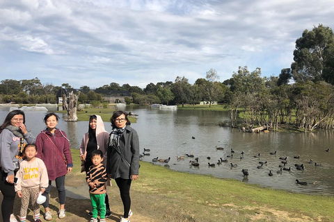 Phillip Island Penguins Private Tour - Darwin Holiday 1
