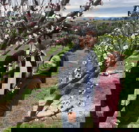 Private Yarra Valley And Puffing Billy Tour - Darwin Holiday