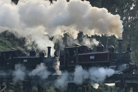Private Yarra Valley And Puffing Billy Tour - Darwin Holiday 3