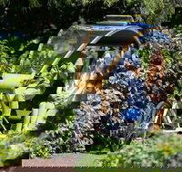 Adelaide 90-Minute Pedicab Tour Scenic Green  River Experience - Darwin Holiday