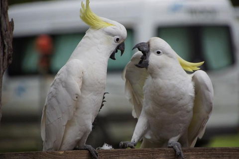 4 Day Group Camping Tour - Visit Grampians, Great Ocean Road And 12 Apostles - Darwin Holiday 1