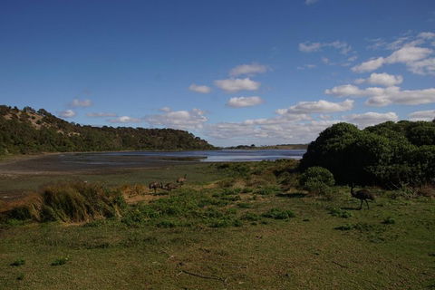 4 Day Group Camping Tour - Visit Grampians, Great Ocean Road And 12 Apostles - Darwin Holiday 4