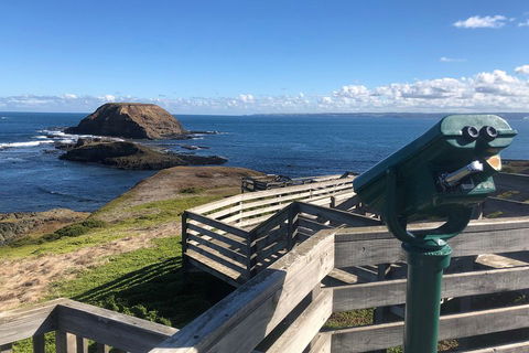 Private Phillip Island Tour - Darwin Holiday 4