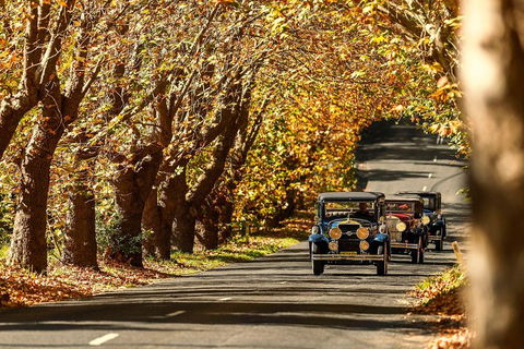 Blue Mountains Vintage Cadillac Tour With Local Guide - Darwin Holiday 1