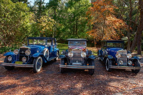 Blue Mountains Vintage Cadillac Tour With Local Guide - Darwin Holiday 4
