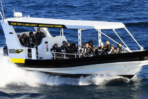 1.5HR Mudjimba Island Wildlife Safari - Darwin Holiday 2