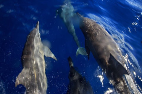 1.5HR Mudjimba Island Wildlife Safari - Darwin Holiday 3