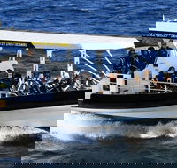 Mooloolaba Whale Watching Tour - Darwin Holiday