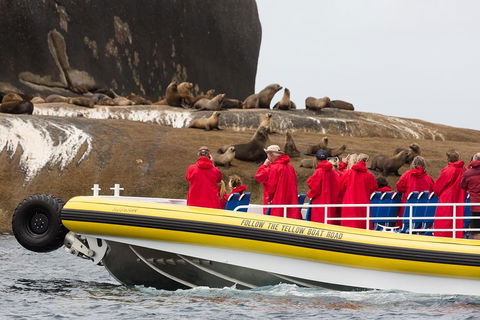 Wilsons Promontory Wilderness Cruise From Tidal River - Darwin Holiday 1