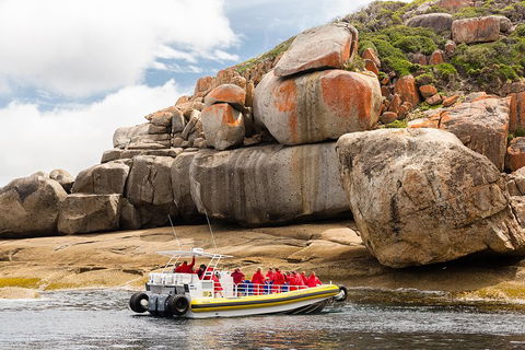 Wilsons Promontory Wilderness Cruise From Tidal River - Darwin Holiday 4