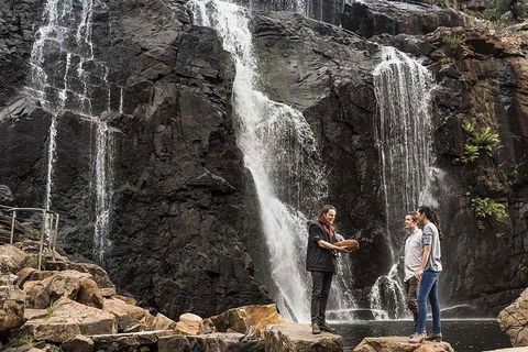 Full-Day Private Tour To Grampians From Melbourne - Darwin Holiday 0