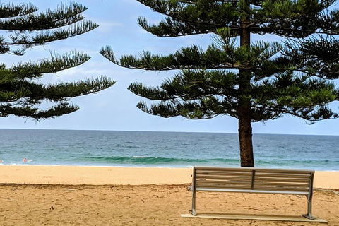 Manly & Sydney's Northern Beaches With 'Personalised Sydney Tours' - Darwin Holiday 0