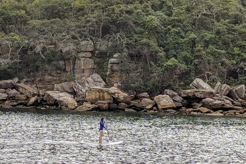 Manly & Sydney's Northern Beaches With 'Personalised Sydney Tours' - Darwin Holiday 3