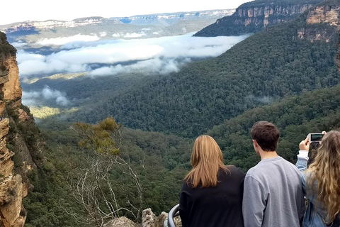 Blue Mountains Private Tour - Wild Kangaroos, Waterfalls And The Three Sisters - Darwin Holiday 3