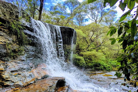 Blue Mountains Private Tour - Wild Kangaroos, Waterfalls And The Three Sisters - Darwin Holiday 5