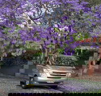 Sydney Secrets  Bondi Beach Private 4 Hr Morning with Personalised Sydney Tours - Darwin Holiday