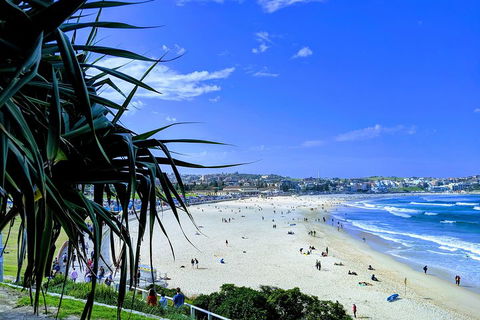 Sydney Secrets & Bondi Private 4 Hour Afternoon With 'Personalised Sydney Tours' - Darwin Holiday 0