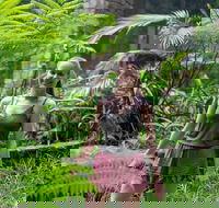 Full-Day Guided Hinterland Adventure Tour in Queensland - Darwin Holiday