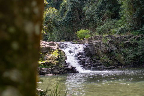Full-Day Guided Hinterland Adventure Tour In Queensland - Darwin Holiday 1
