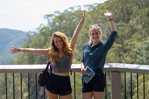 Full-Day Guided Hinterland Adventure Tour In Queensland - Darwin Holiday 3