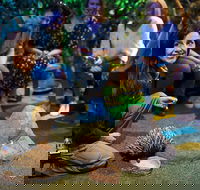 Sydney Taronga Zoo's Australian Animals Tour - Darwin Holiday