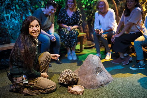 Sydney Taronga Zoo's Australian Animals Tour - Darwin Holiday 0
