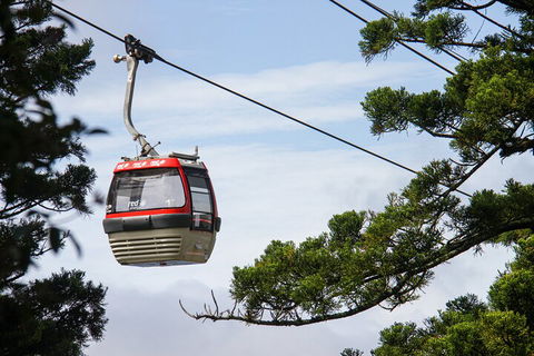 Sydney Taronga Zoo General Entry Ticket And Wild Australia Experience - Darwin Holiday 2