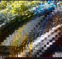 Personalised wine tour experience in the beautiful NSW Southern Highlands - Darwin Holiday