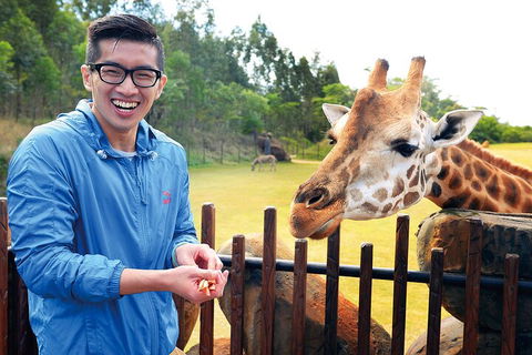 Croc Express To Australia Zoo From Gold Coast - Darwin Holiday 1