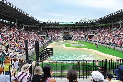 Croc Express To Australia Zoo From Gold Coast - Darwin Holiday 2