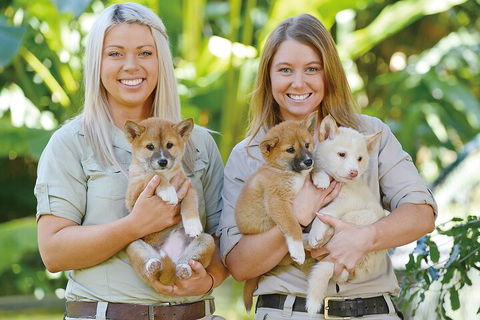 Croc Express To Australia Zoo From Gold Coast - Darwin Holiday 4