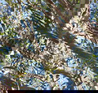 Stradbroke Island 4WD Day Trip from Brisbane - Darwin Holiday