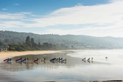 LGBT+ Friendly 12-Hour Great Ocean Road Private Tour - Darwin Holiday 2