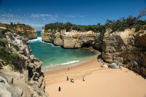 LGBT+ Friendly 12-Hour Great Ocean Road Private Tour - Darwin Holiday 5