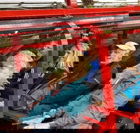 Blue Mountains Ultimate One-Day Tour - Darwin Holiday