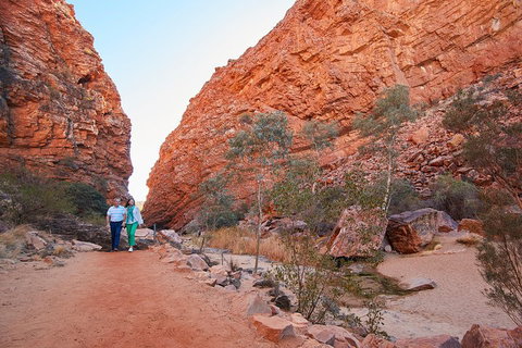 Best Of Alice Springs Full Day Tour - Darwin Holiday 1