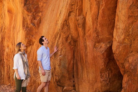 Best Of Alice Springs Full Day Tour - Darwin Holiday 2