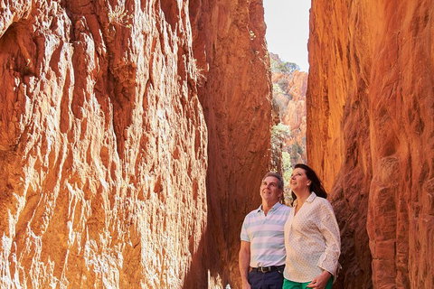 Best Of Alice Springs Full Day Tour - Darwin Holiday 4