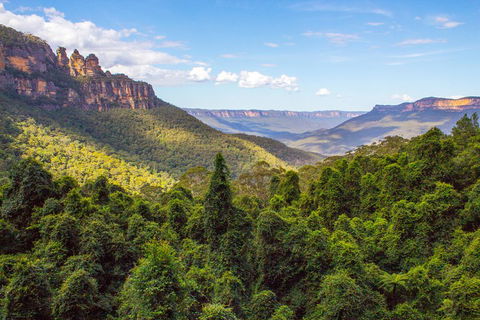 Blue Mountains Nature And Wildlife Day Tour From Sydney - Darwin Holiday 1
