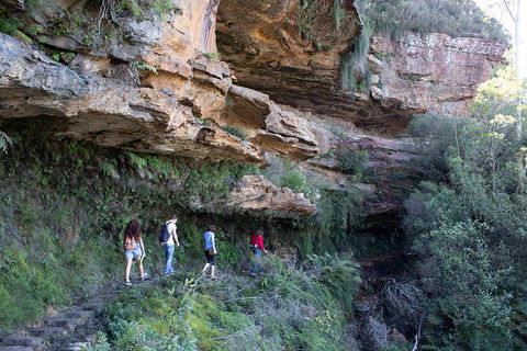 Blue Mountains Nature And Wildlife Day Tour From Sydney - Darwin Holiday 2